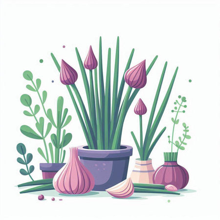 Garlic, onion and chives in flowerpot. Vector illustration.のイラスト素材