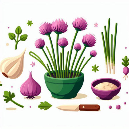 Garlic, onion and parsley on a white background. Vector illustration.のイラスト素材
