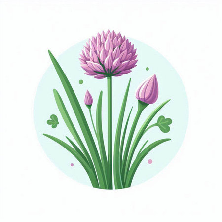 Vector illustration of a pink chive flower in a round frame.のイラスト素材