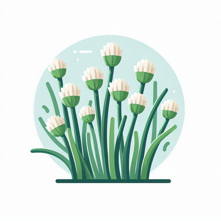 Flowering grass on white background. Vector illustration in flat style.のイラスト素材