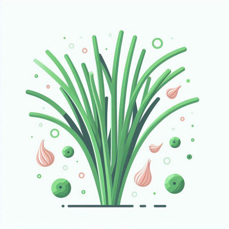 Vector illustration of green onion and garlic on white background, flat style.のイラスト素材