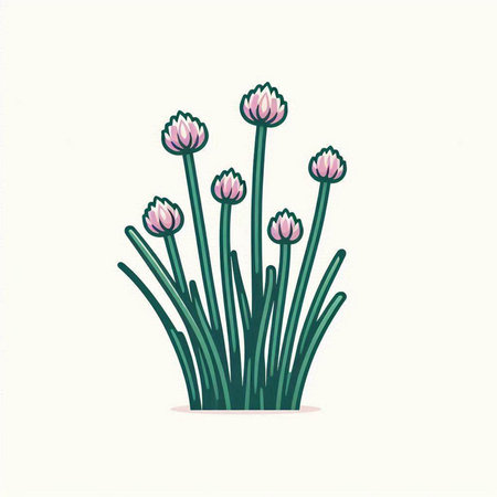 Illustration of a bouquet of pink chives on a white backgroundのイラスト素材