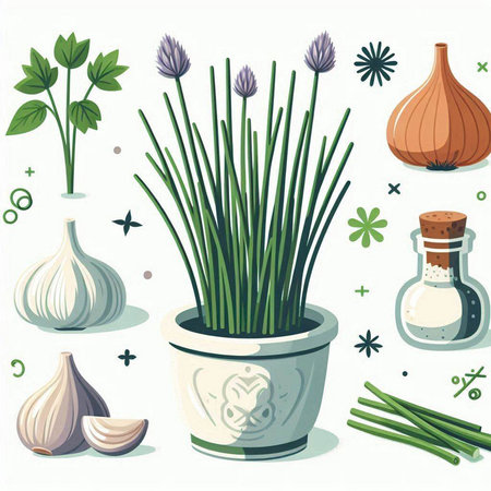 Garlic, onion, parsley in a pot. Vector illustration.のイラスト素材
