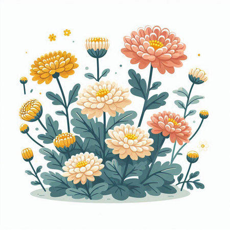 Vector illustration of a bouquet of chrysanthemums.のイラスト素材