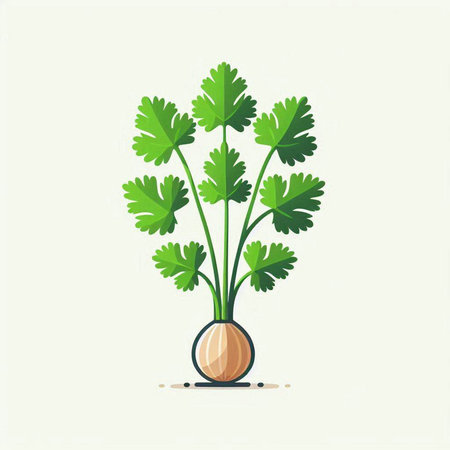 Celery plant. Vector illustration of a bunch of parsley.のイラスト素材