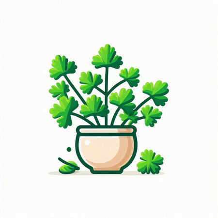 Parsley in a pot isolated on white background. Vector illustration.のイラスト素材