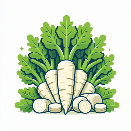 Illustration of white radish with green leaves on a white backgroundのイラスト素材