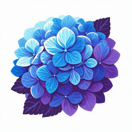 Blue hydrangea flower on white background. Vector illustration.のイラスト素材