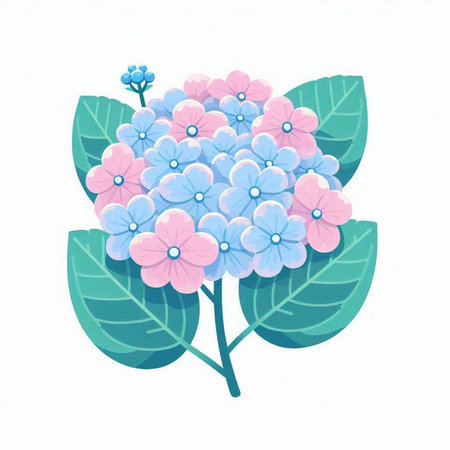 Hydrangea flower isolated on a white background. Vector illustration.のイラスト素材