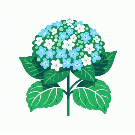 Hydrangea flower icon isolated on white background. Flat vector illustration.のイラスト素材