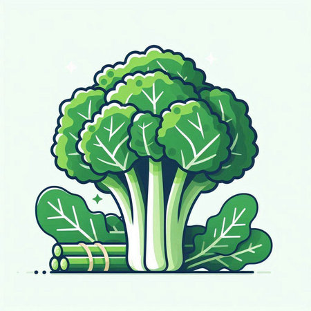 Broccoli vector illustration. Broccoli icon. Broccoli vector illustrationのイラスト素材