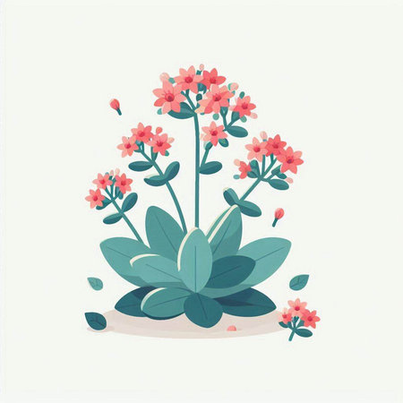 Flowering succulent plant. Vector illustration in flat style.のイラスト素材