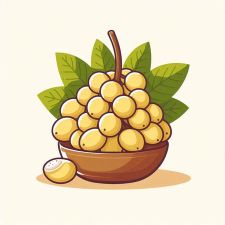 Vector illustration of longan fruit in a bowl with green leaves.のイラスト素材