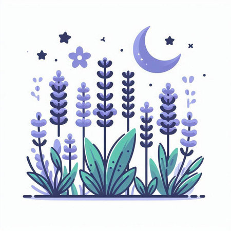 Vector illustration of lavender flowers, night sky, moon and stars.のイラスト素材