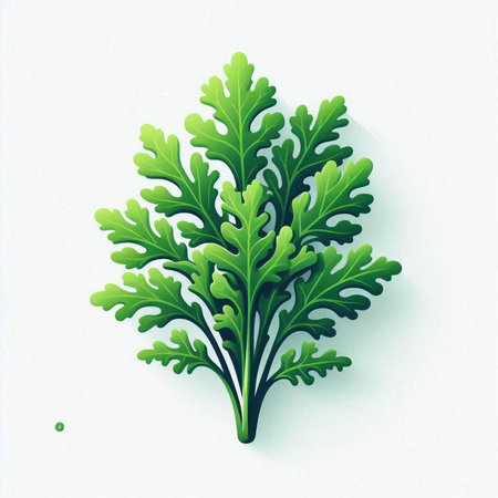 Leaves of arugula on a white background. Vector illustration.のイラスト素材