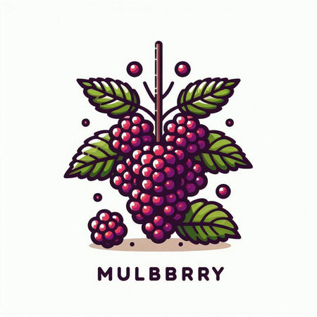 Illustration of a bunch of grapes with leaves. Vector illustration.のイラスト素材