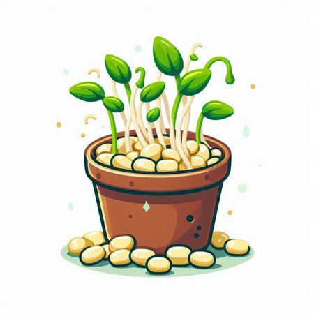 Sprouts in a pot on a white background. Vector illustration.のイラスト素材