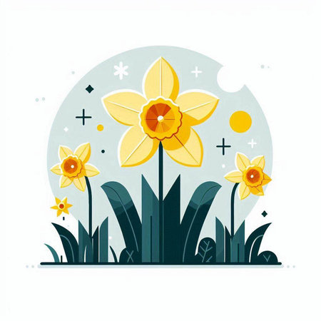 Vector illustration with daffodils in flat style on white background.のイラスト素材