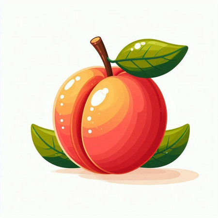 Peach fruit with leaves. Vector illustration isolated on white background.のイラスト素材