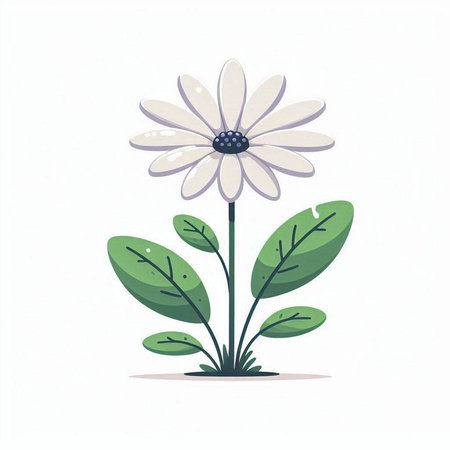 Daisy flower. Vector illustration. Isolated on white background.のイラスト素材