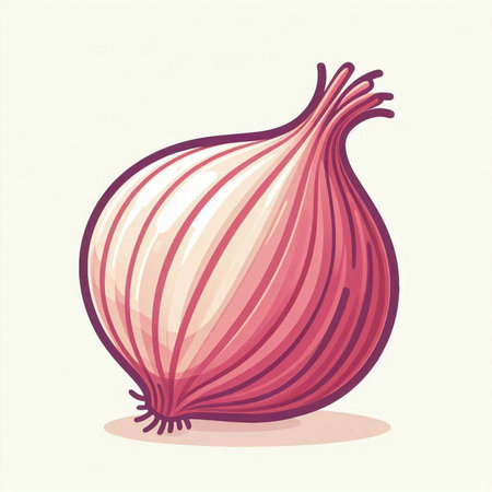 Vector illustration of red onion. Isolated on a white background.のイラスト素材