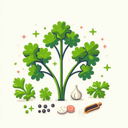 Vector illustration of parsley, garlic, peppercorns and spices.のイラスト素材