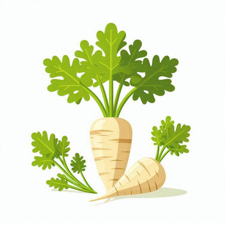 Carrot with leaves isolated on a white background. Vector illustration.のイラスト素材
