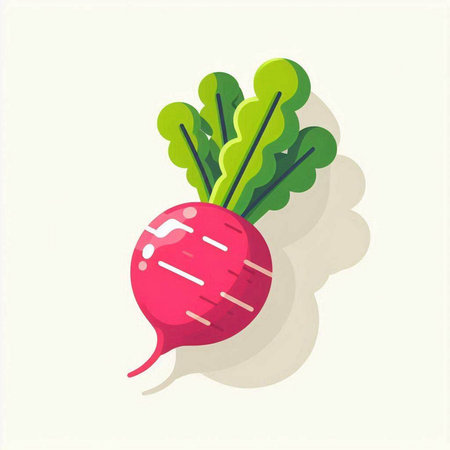 Radish flat icon. Vector illustration of radish. Vegetarian food.のイラスト素材