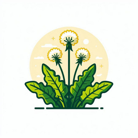 Dandelion flower with green leaves and full moon. Vector illustration.のイラスト素材