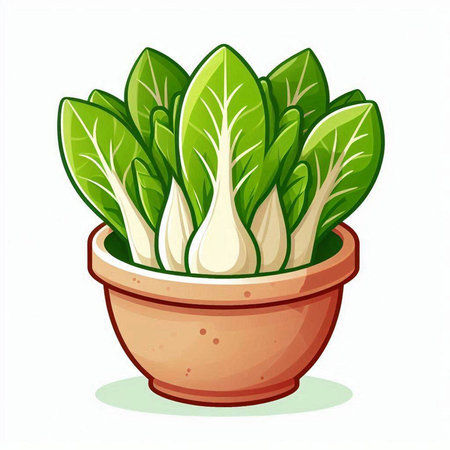 Illustration of fresh chard in a pot on a white backgroundのイラスト素材