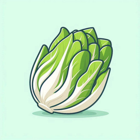 Illustration of a fresh chinese cabbage on a light green backgroundのイラスト素材