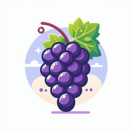 Grapes. Vector illustration in flat style on white background.のイラスト素材