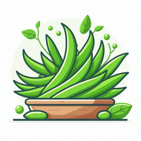 Green aloe vera plant in a pot. Vector illustration.のイラスト素材