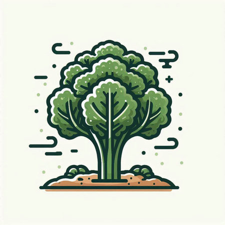 Vector illustration of broccoli in flat linear style on white background. Isolated outline vegetable icon.のイラスト素材