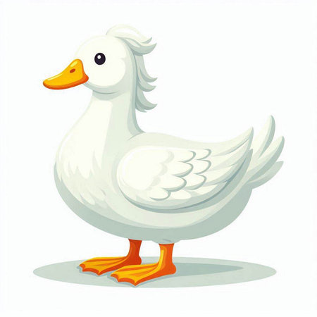 Illustration of a cute cartoon white duck on a white background.のイラスト素材