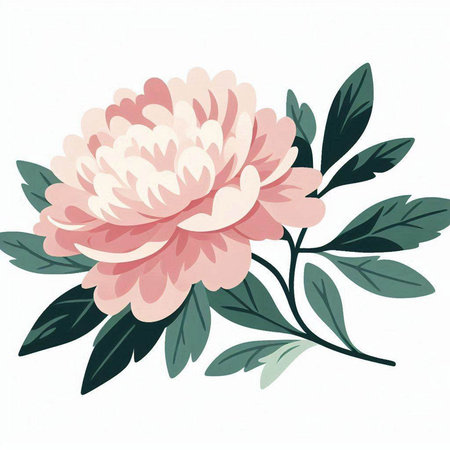 Hand drawn vector illustration of a pink peony. Isolated on white background.のイラスト素材