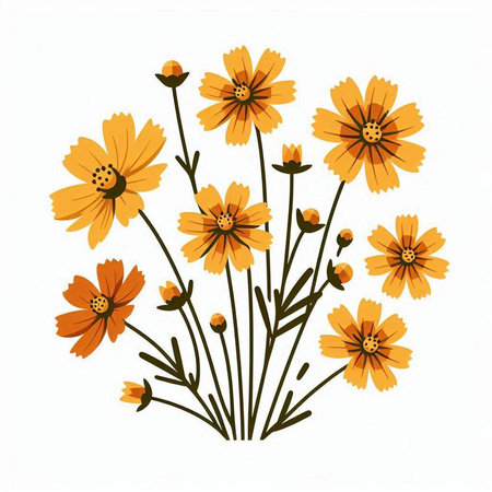 Yellow cosmos flowers isolated on white background. Vector illustration for your designのイラスト素材