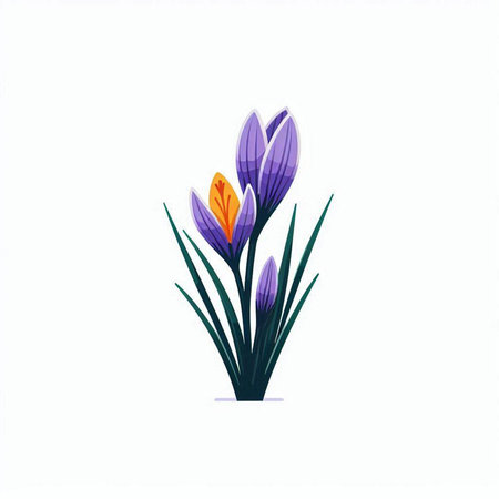 Hand drawn vector illustration of crocus flower isolated on white background.のイラスト素材