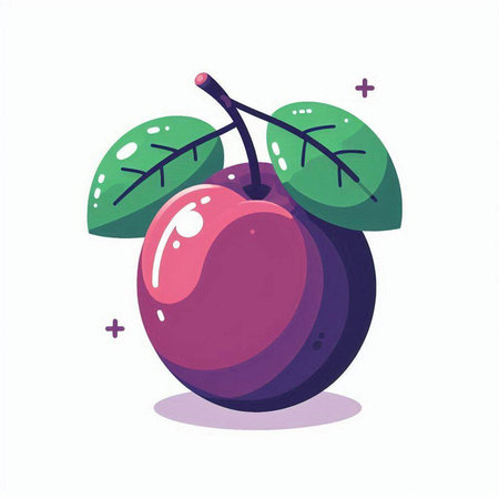 Plum fruit vector illustration. Isolated on a white background.のイラスト素材