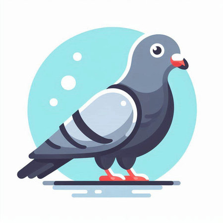 Pigeon on a white background. Vector illustration in flat style.のイラスト素材
