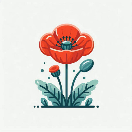 Vector illustration of a red poppies in a flat style.のイラスト素材