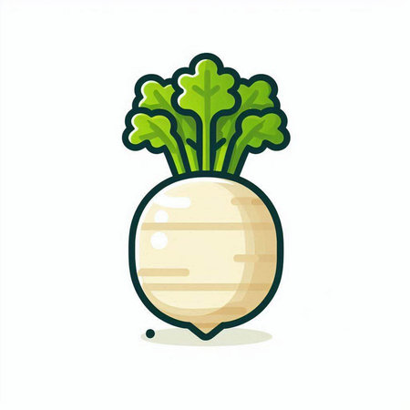 Illustration of turnip icon isolated on white background. Vector illustration.のイラスト素材