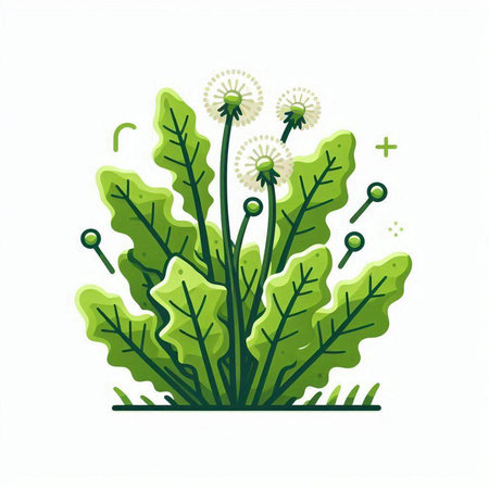 Green dandelion isolated on white background. Vector illustration for your designのイラスト素材