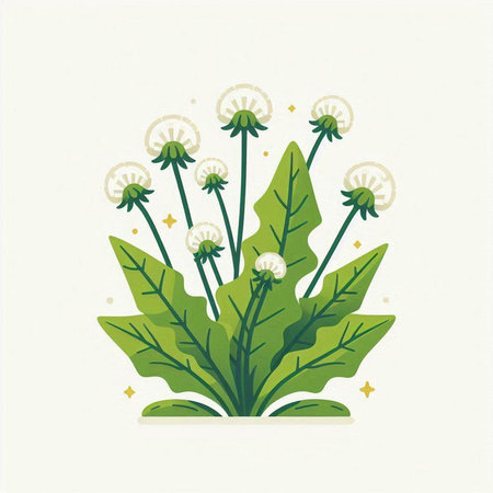 Dandelion flower. Hand drawn vector illustration in flat style.のイラスト素材