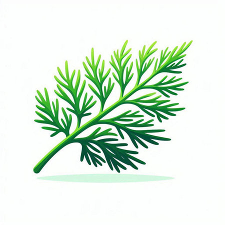 Fresh green dill isolated on a white background. Vector illustration.のイラスト素材