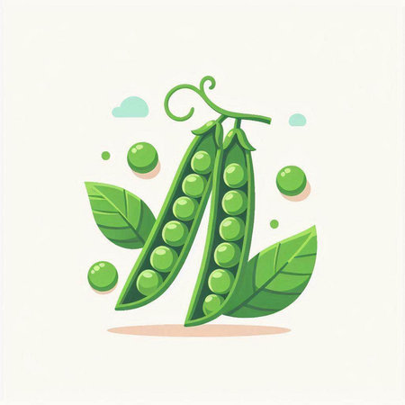 Peas with green leaves. Vector illustration on a white background.のイラスト素材