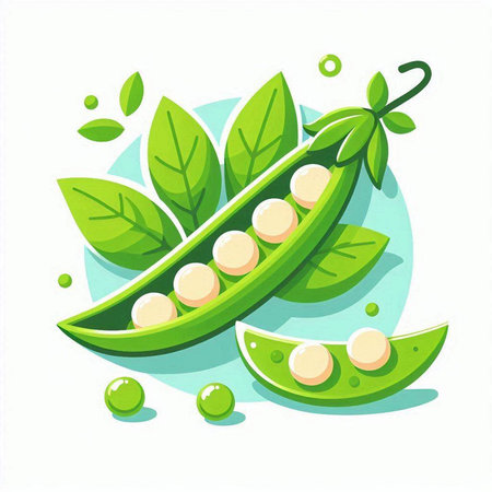 Green peas on a white background. Vector illustration in flat style.のイラスト素材