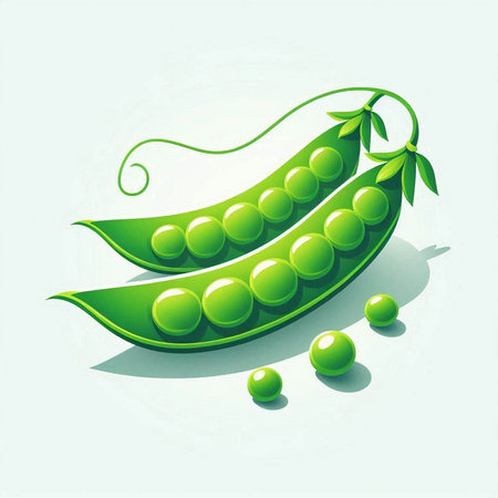 Green peas in the pod on a light background. Vector illustration.のイラスト素材