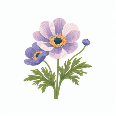 beautiful anemone flower isolated icon vector illustration design vector illustration designのイラスト素材