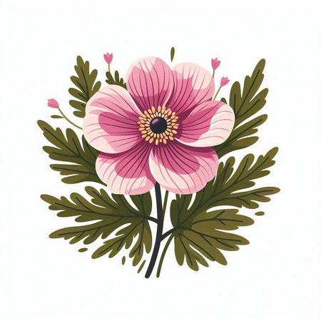 Bouquet of pink anemone flowers. Vector illustration.のイラスト素材